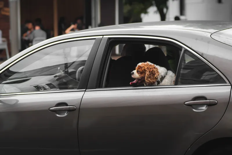 Street photography