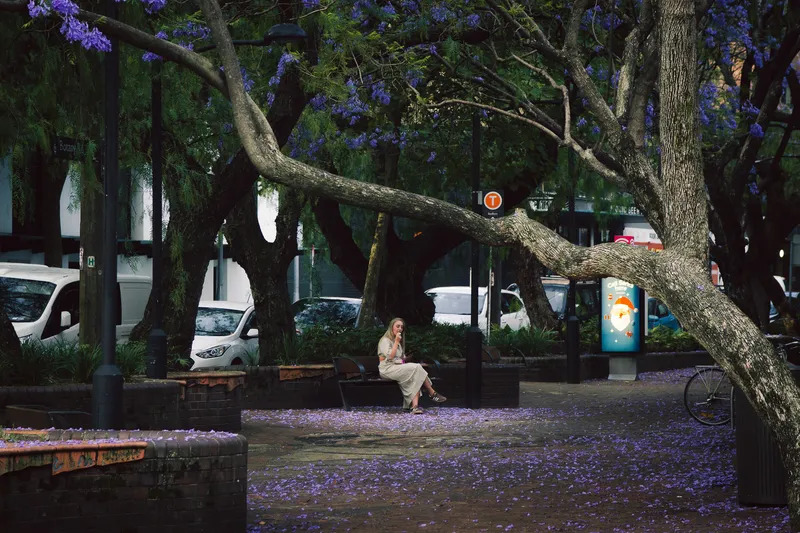 Street photography