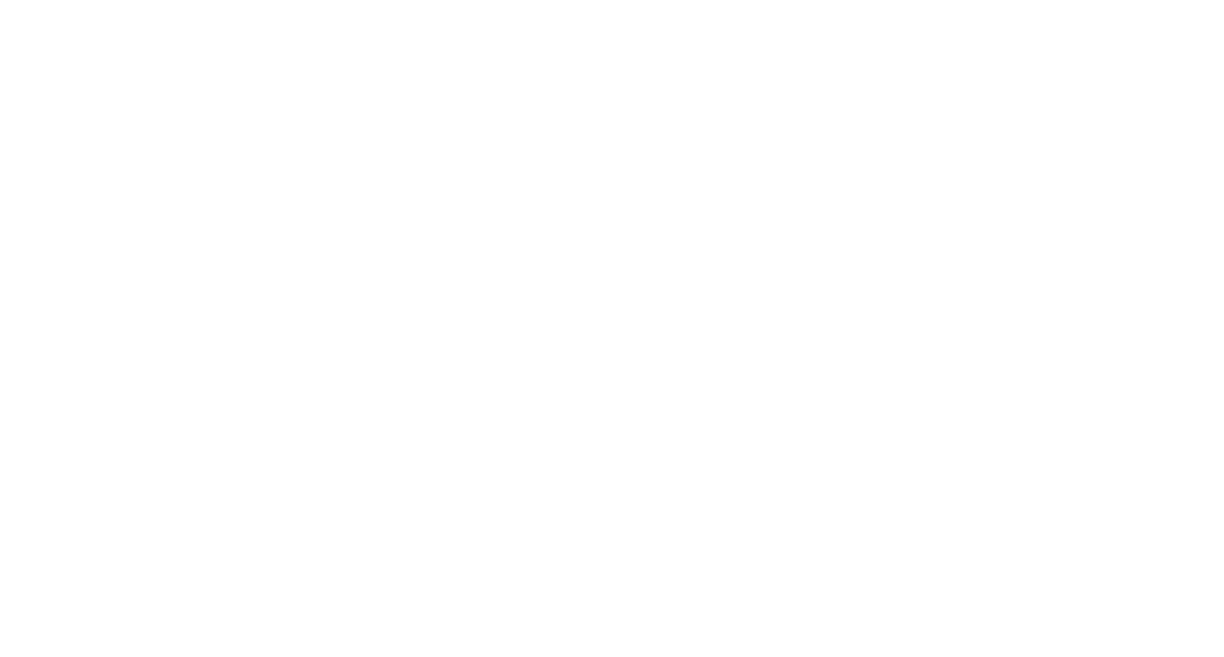 The Fry