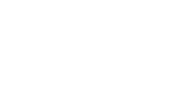 The Fry